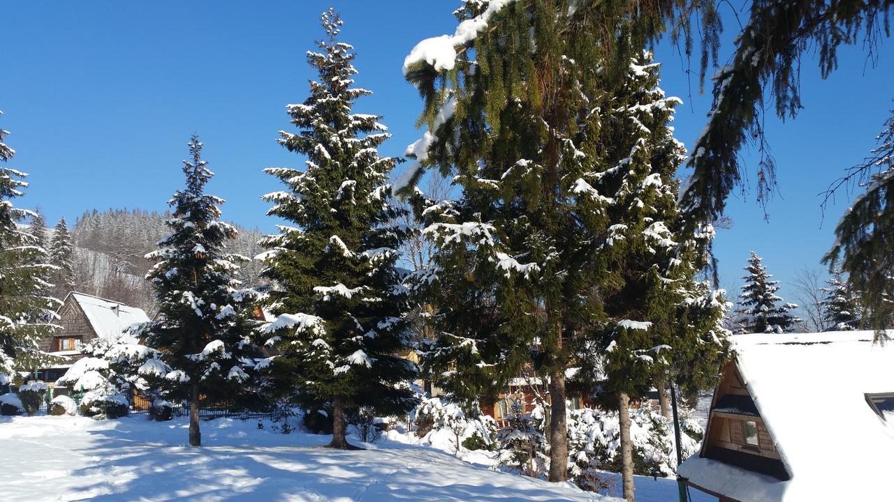 Camping Harenda Pokoje Goscinne I Domki Zakopane Kültér fotó