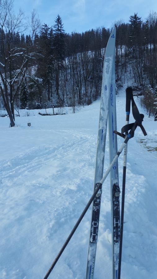 Camping Harenda Pokoje Goscinne I Domki Zakopane Kültér fotó