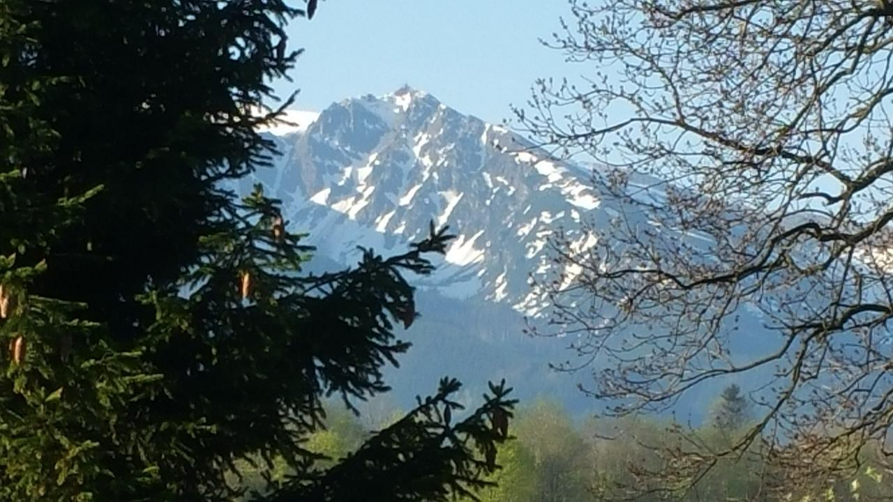Camping Harenda Pokoje Goscinne I Domki Zakopane Kültér fotó