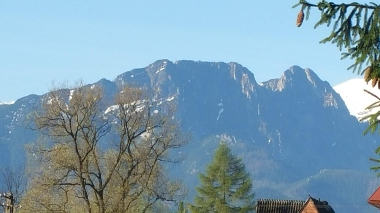 Camping Harenda Pokoje Goscinne I Domki Zakopane Kültér fotó