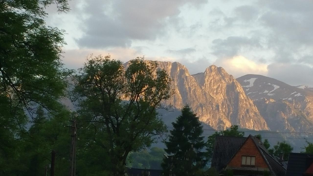 Camping Harenda Pokoje Goscinne I Domki Zakopane Kültér fotó
