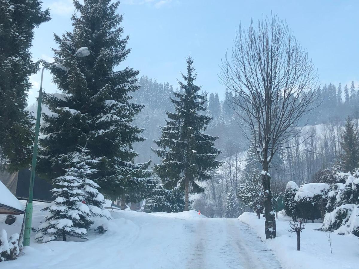 Camping Harenda Pokoje Goscinne I Domki Zakopane Kültér fotó