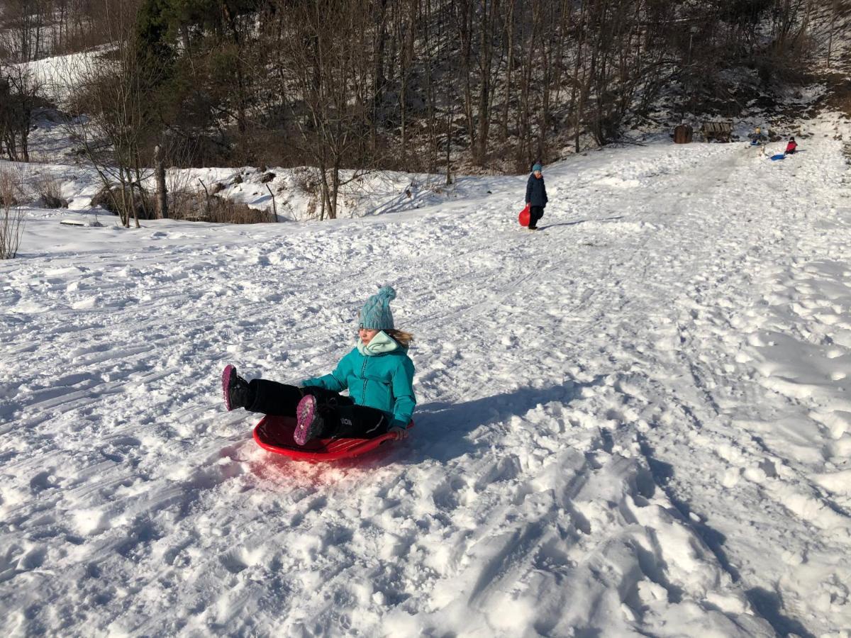 Camping Harenda Pokoje Goscinne I Domki Zakopane Kültér fotó